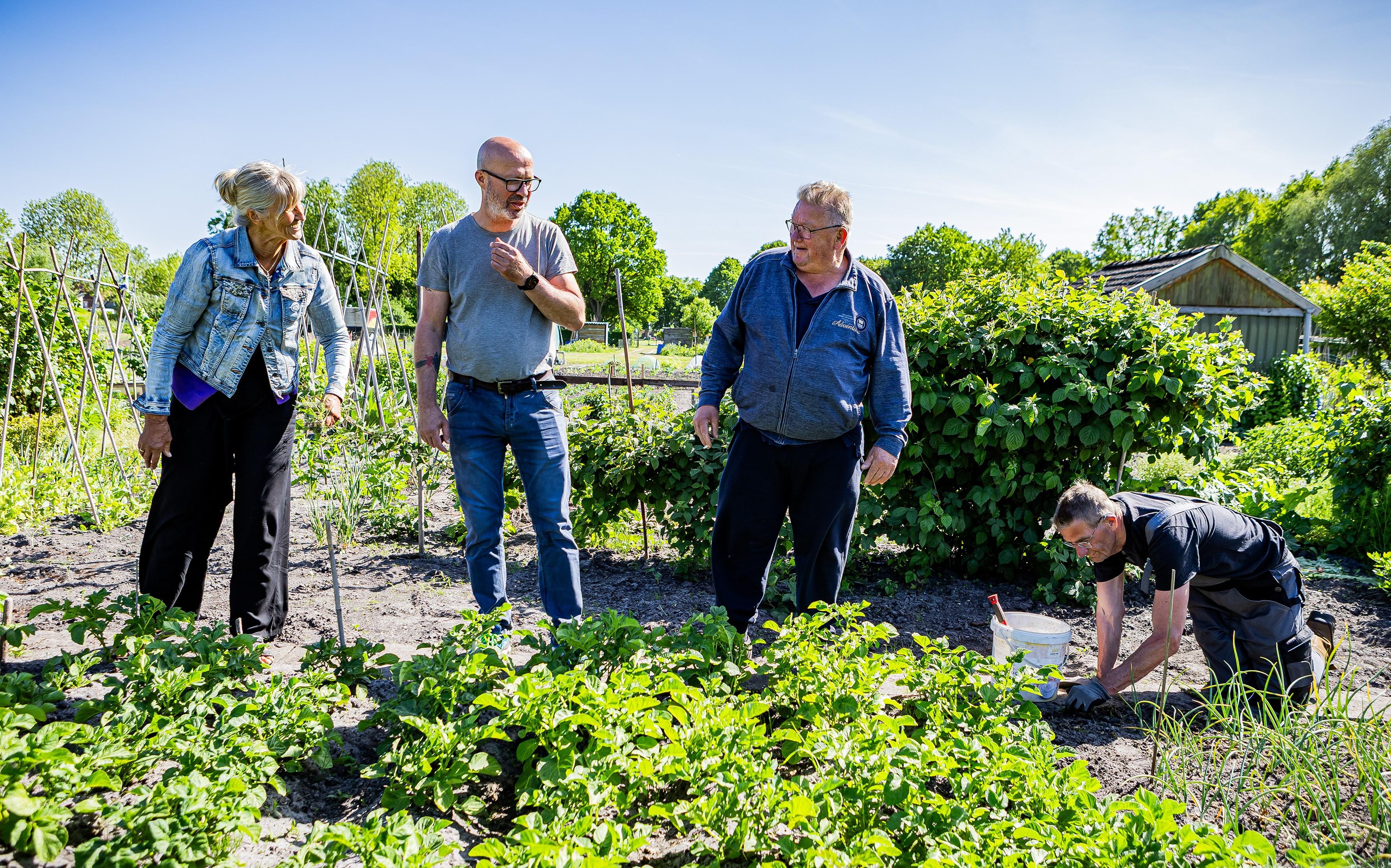 Het bestuur van Tuinvereniging Somerlust. Van links naar rechts: Gea Gielstra-Boerma, Peter de Jonge, Pieter Westerhof en Klaas Gielstra.