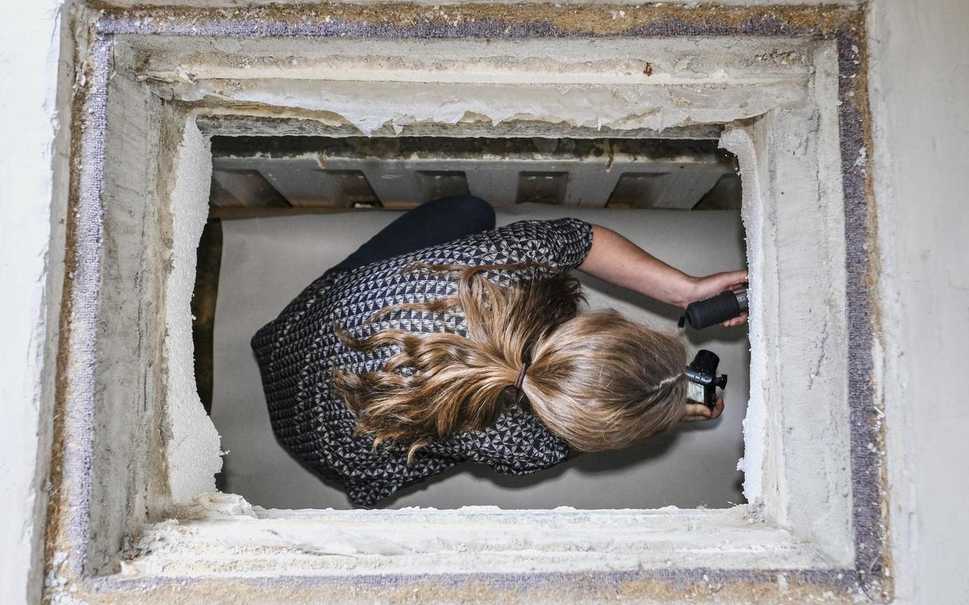 Op stap met een inspectieteam in Overschild - Dagblad van het Noorden - Dagblad van het Noorden