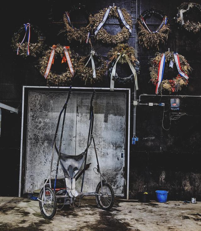 Gewonnen kransen aan de muur bij de stal van Delis