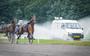 Volgens de gemeente Groningen zit de paardensport te veel in de weg bij de ontwikkeling van de drafbaan als evenemententerrein.