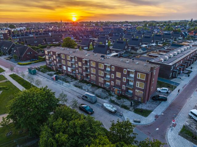 Vleermuis blokkeert sloop van flat in Appingedam voor de komende tien jaar