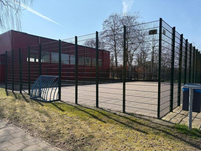 Man uit Groningen vangt bij Raad van State bot met eis verplaatsen voetbalkooi in Lewenborg