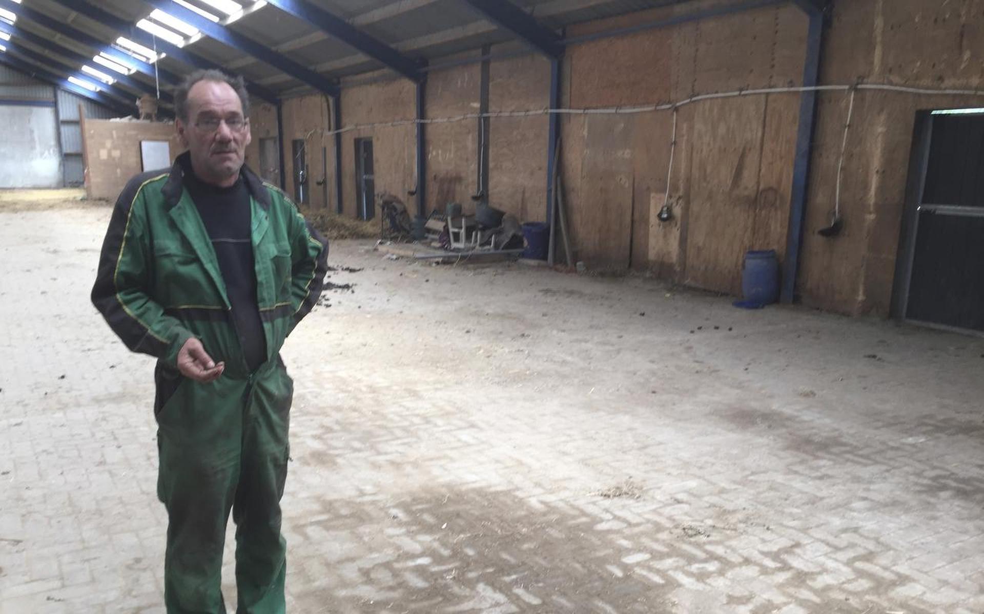Gemeente regelt stalling voor dakloze paarden van Stal Braam - Dagblad van het Noorden