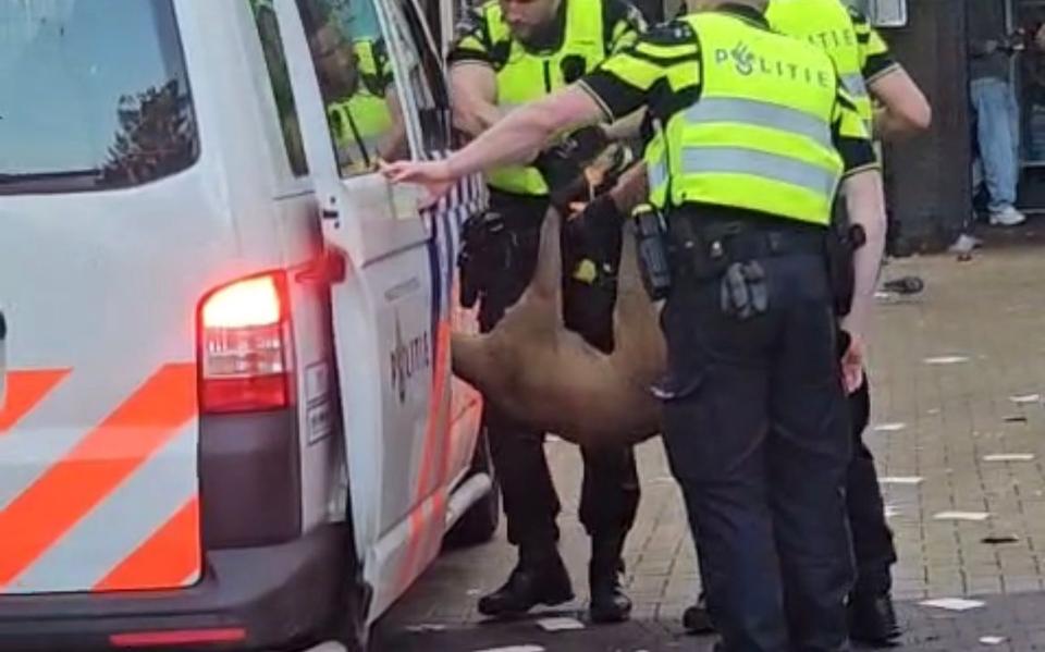 De politie nam de ree mee.