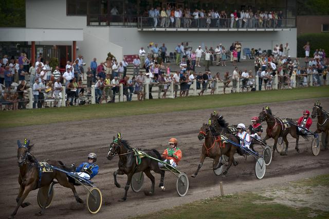 De drafbaan in Groningen in betere tijden tijdens de Sweepstakes in 2009. 

