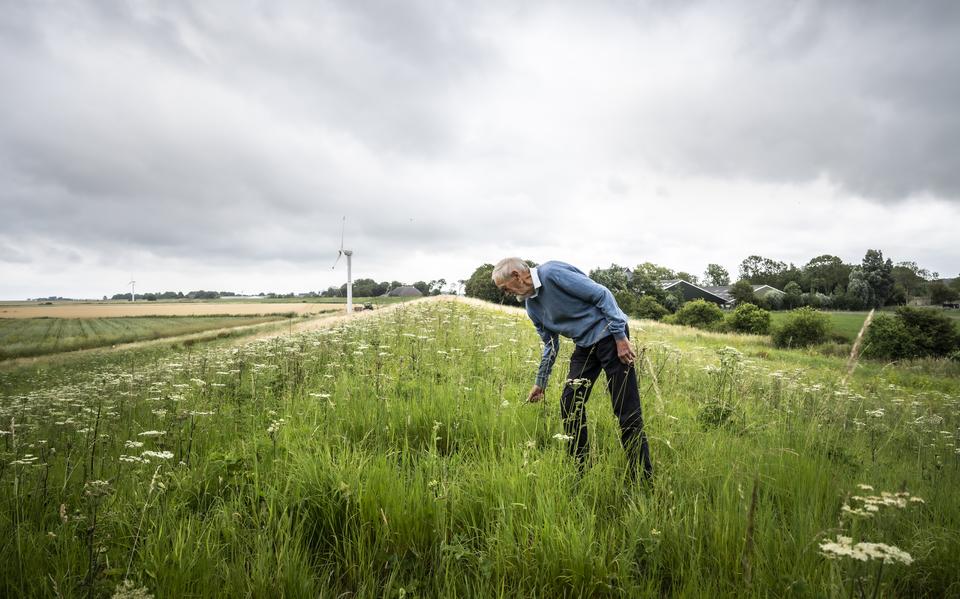 Boer Harm Westers heeft de slaperdijk op zijn land in Hornhuizen opengesteld voor het publiek. 