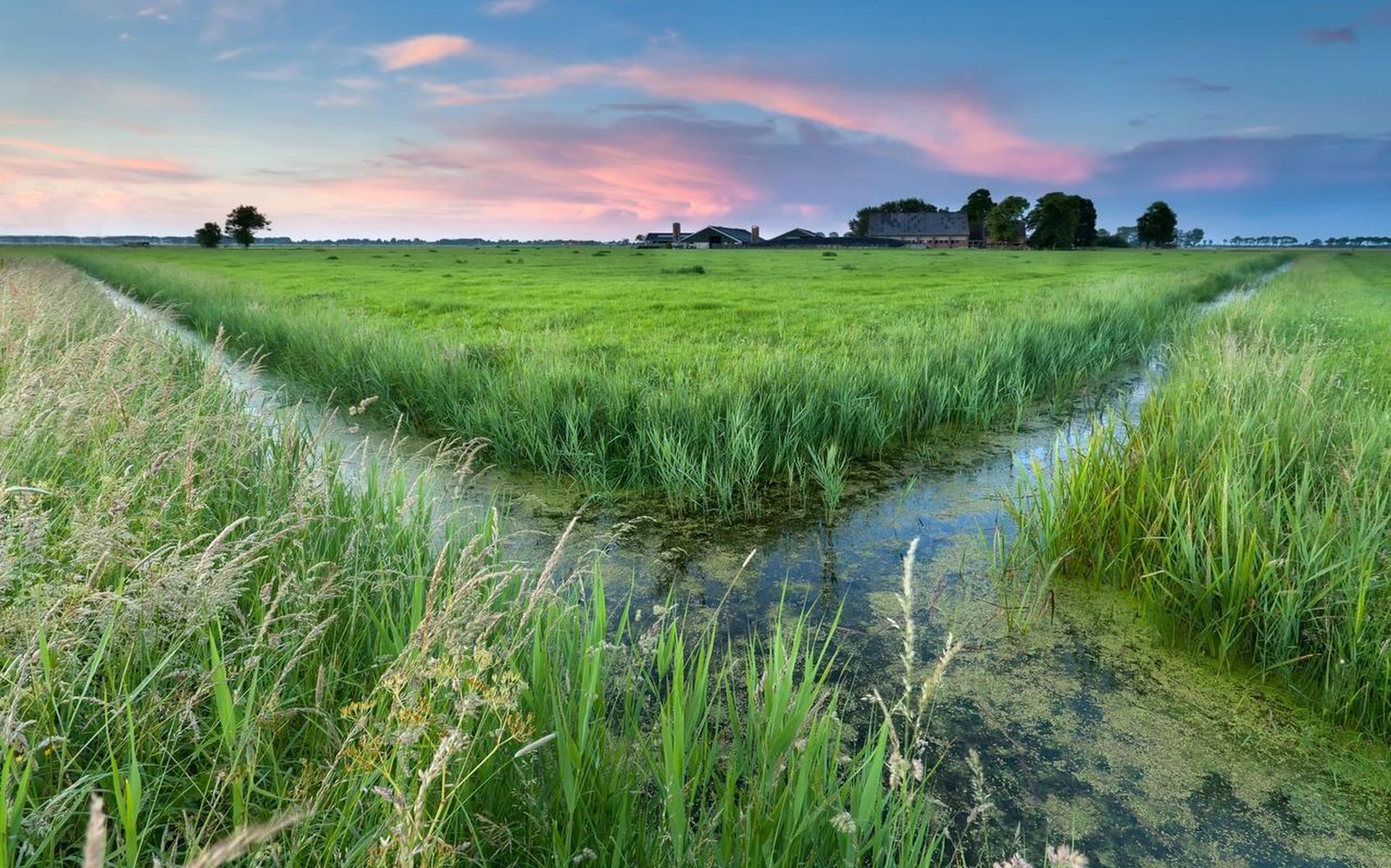Zorgt corona voor een abrupt einde van de leegloop op het platteland