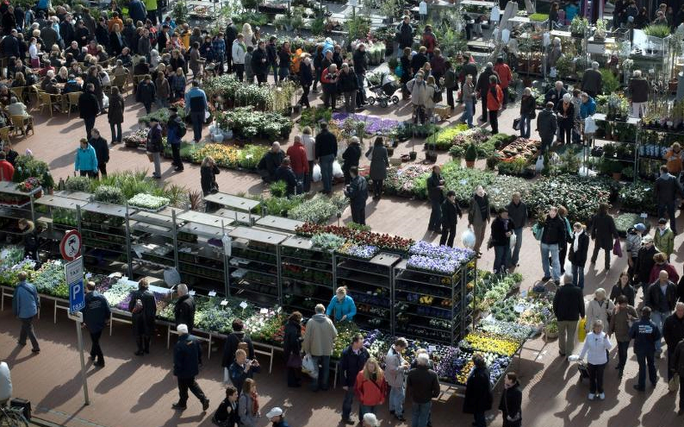 De bloemenmarkt in het hart van de stad Groningen. Foto Archief DvhN