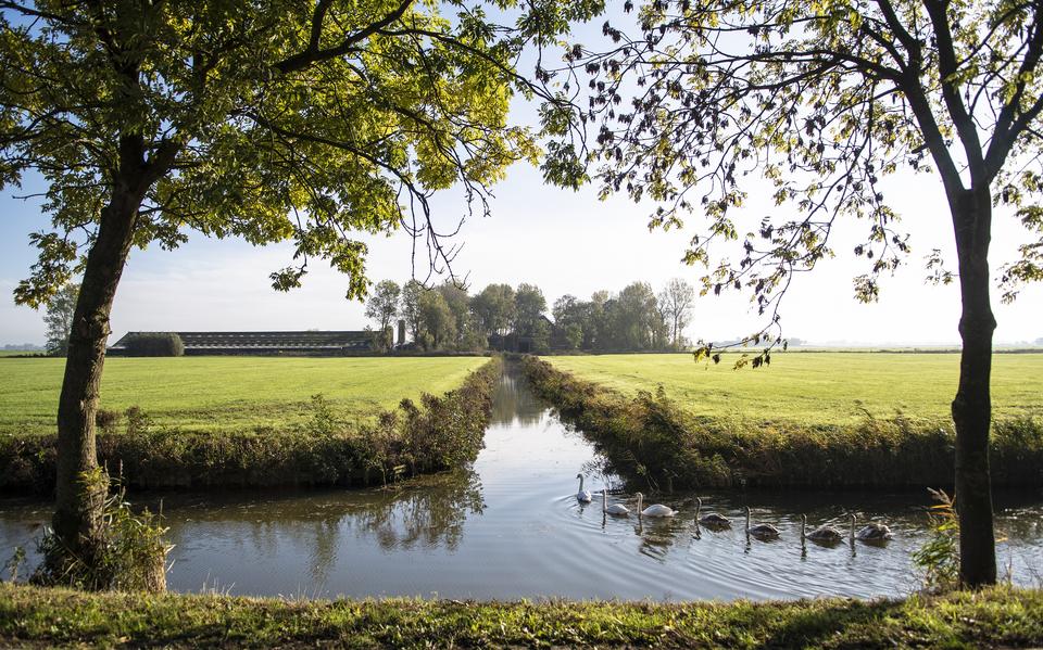 Volgens fotograaf Anjo de Haan is het licht in Groningen zilverachtig, knisperend en ragfijn.