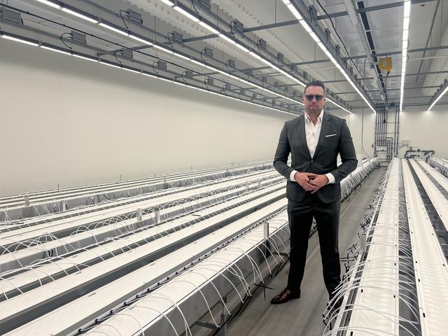 Canadese kwekers verbouwen 8000 kilo wiet in Groningen. Hoe de wietbusiness verkast van het zolderka