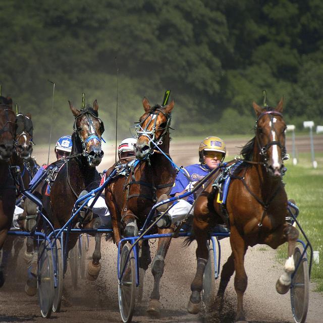 De Sweepstakes, de klassieker voor driejarige paarden in 2006. 