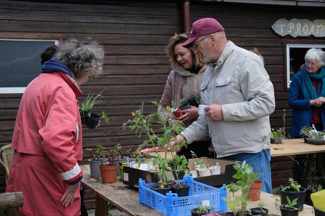 Wie een pompoenplant wil hebben, moet er vroeg bij zijn op de plantenruilmiddag in Groningen. ‘Nog v