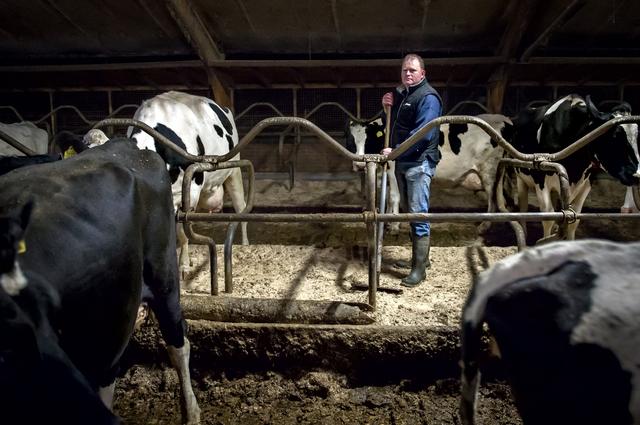 Mestvergisterverbod in Groningen? LTO Noord: ‘De toekomst zit nu al op slot’