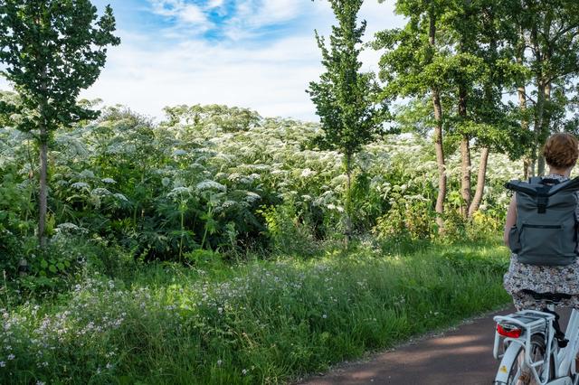 Groningen een fietsstad? Niet zolang vrouwen onveilige routes moeten mijden