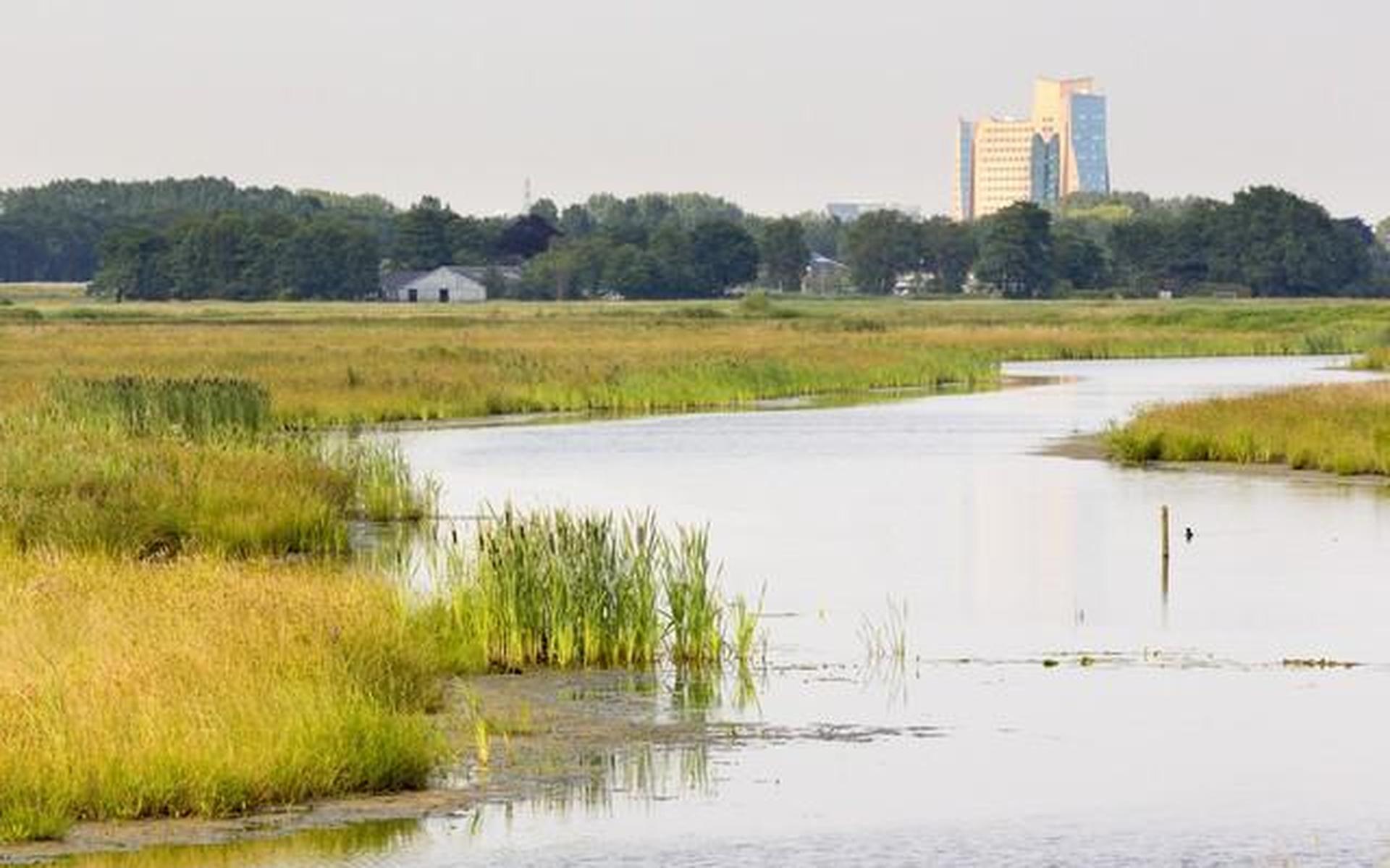 'Oase' bij Peize te bewonderen tijdens Open Monumentendagen - Dagblad van het Noorden