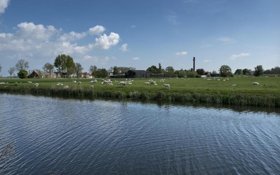 Gezicht op Winneweer en het Damsterdiep.