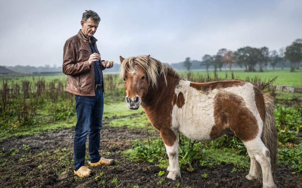 Hent Hamming in zijn dierenweide in Eelde: ,,Wat raakt je. Dat kunnen simpele dingen zijn: een stilleven, een portret, foto's van dieren of het landschap. Laat het ons weten.''