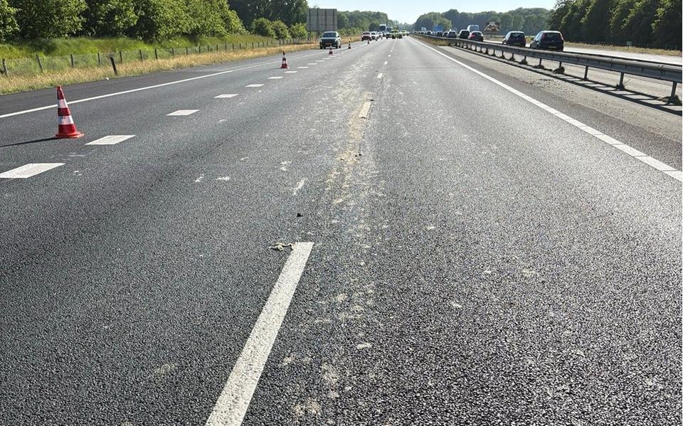 Slachtafval op de A7 bij Frieschepalen.