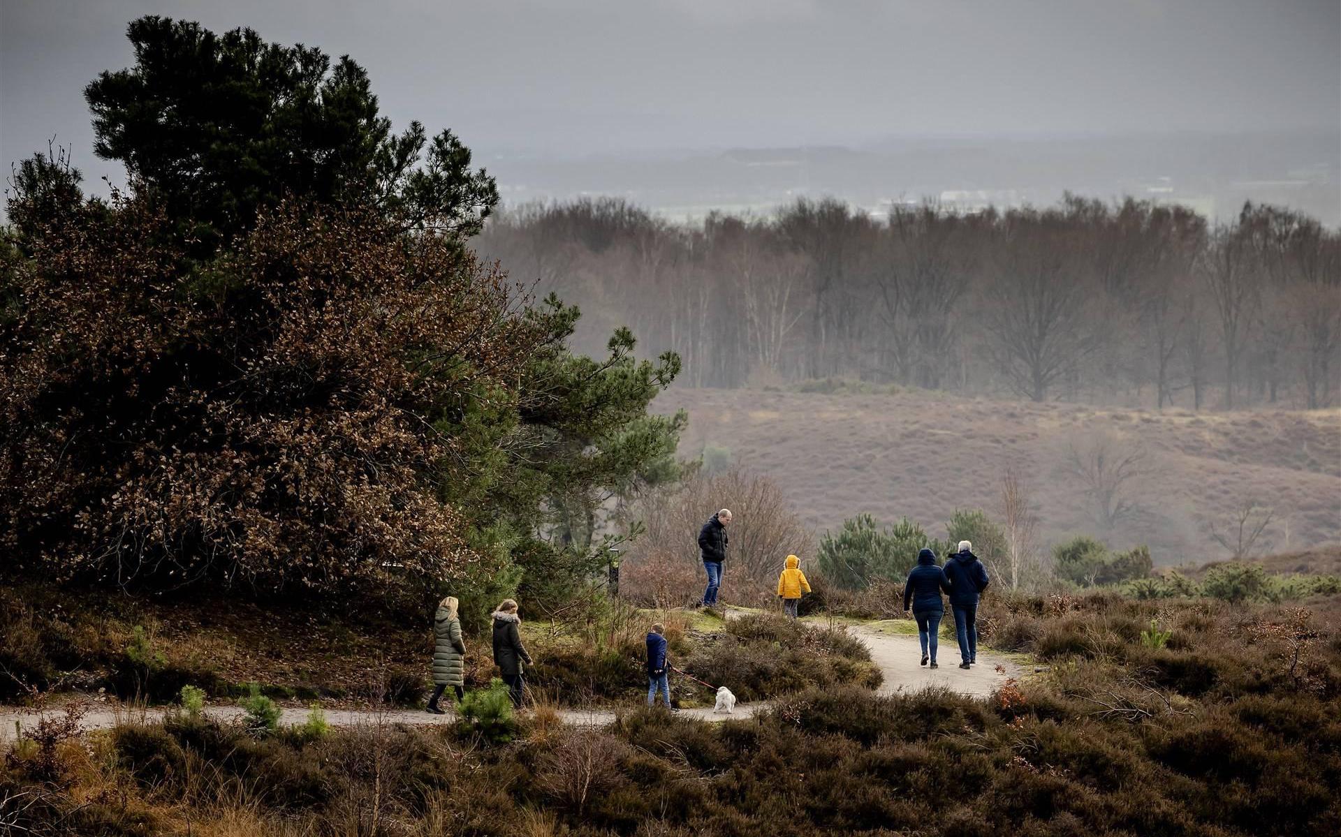 Ökologische Autorität: Natur unter Druck, unzureichende Kenntnis der Provinz