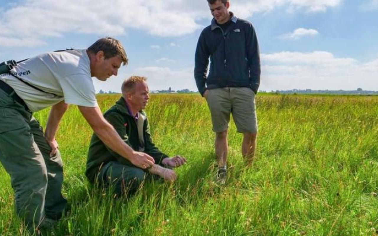 Henk-Jan van der Veen en Pieter Sjoerdsma van Staatsbosbeheer samen met onderzoeker Mo Verhoeven (rechts) in het kruidenrijke land in de Heanmar. Henk-Jan van der Veen en Pieter Sjoerdsma van Staatsbosbeheer samen met onderzoeker Mo Verhoeven (rechts) in het kruidenrijke land in de Heanmar.