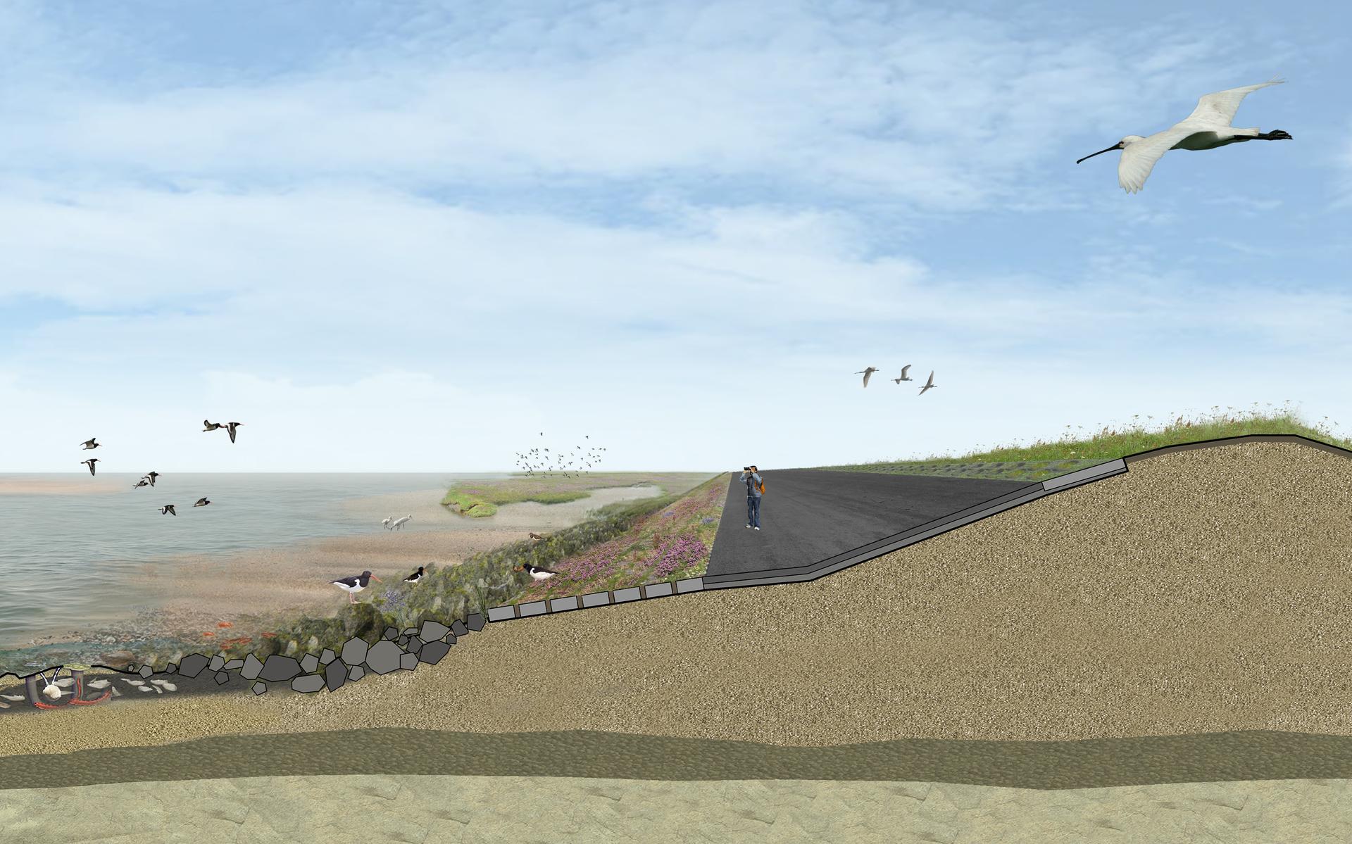 Artistieke impressie van de toekomstige Lauwersmeerdijk.