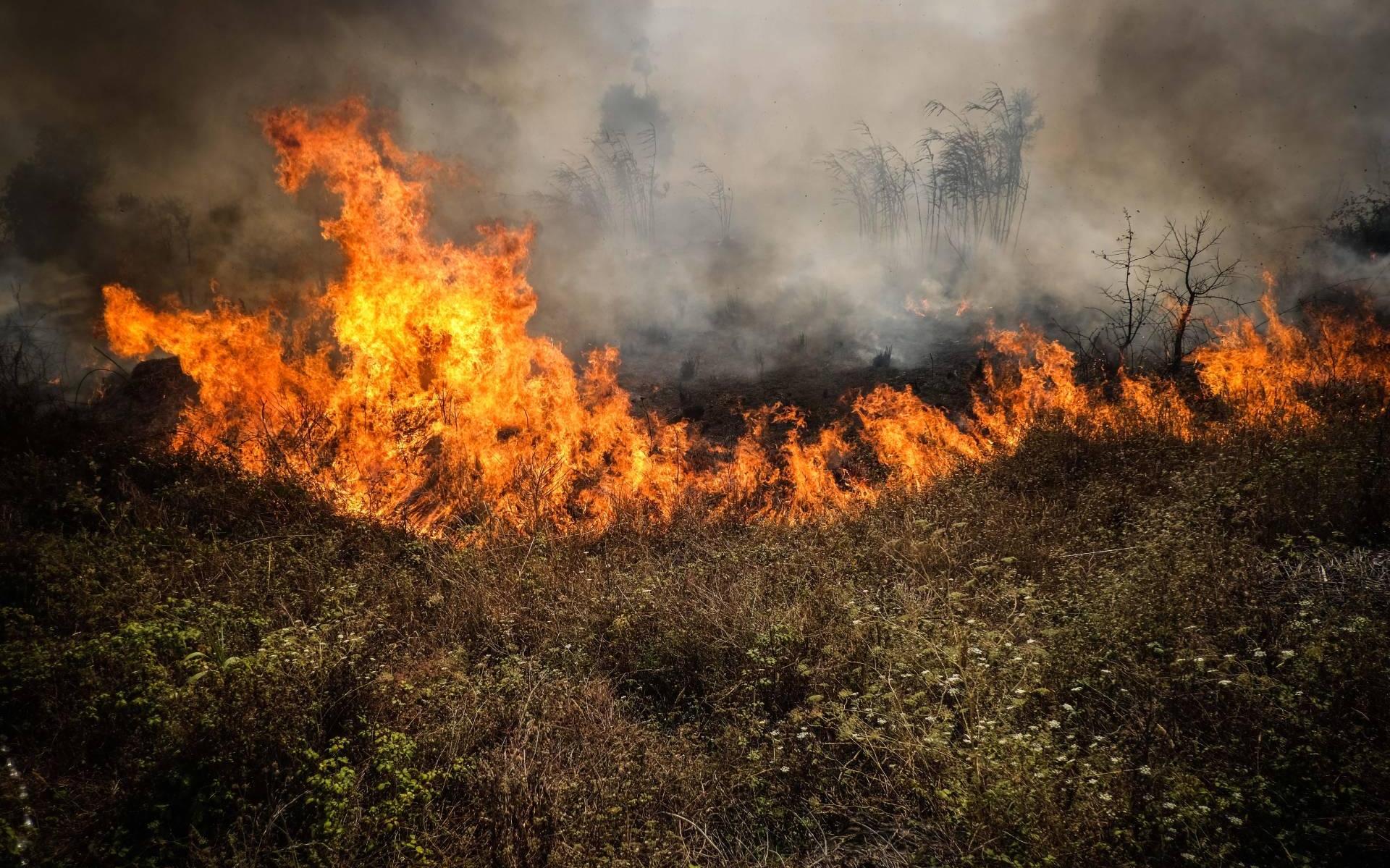 Hitte wakkert al tientallen bosbranden aan in Portugal - Dagblad van het Noorden