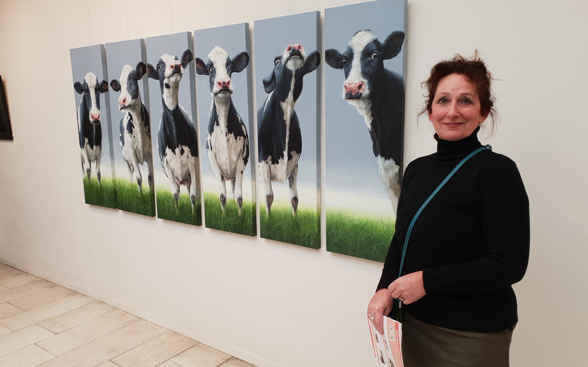 De koeien van Geke Hoogstins uit Eext zijn bijna het van het jaar Dagblad van het