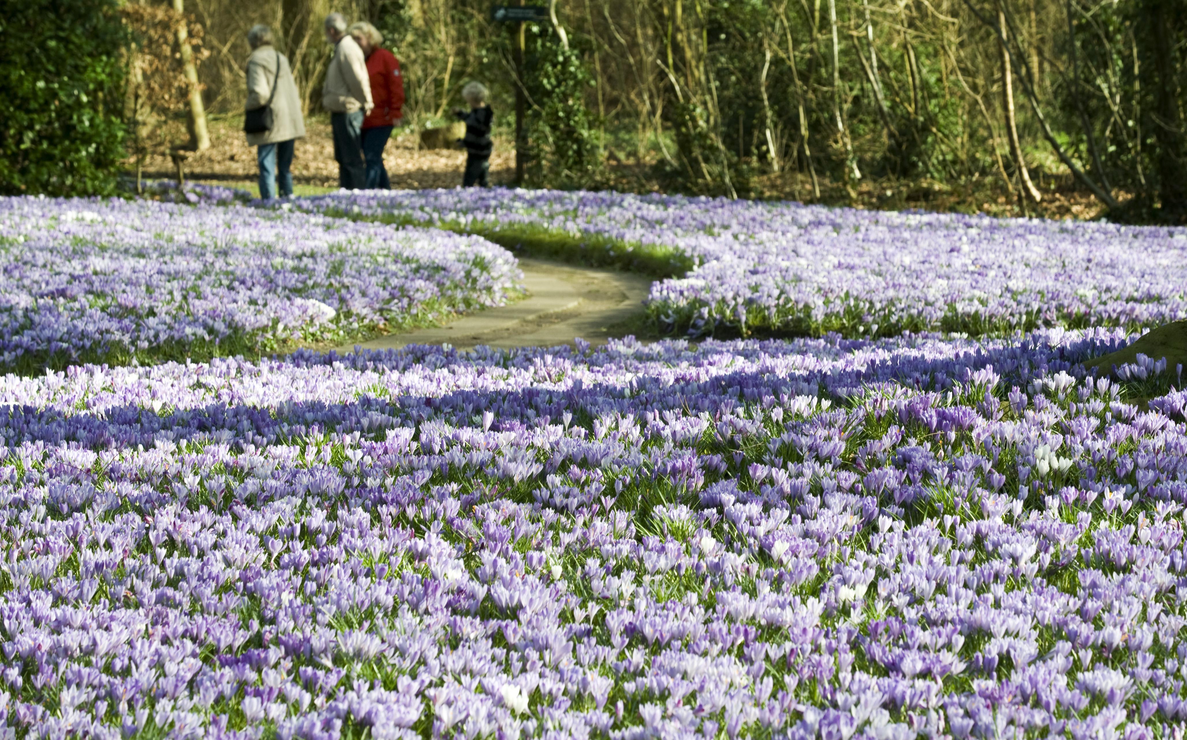 Nog even volhouden: volgende week begint de lente - Dagblad van het Noorden
