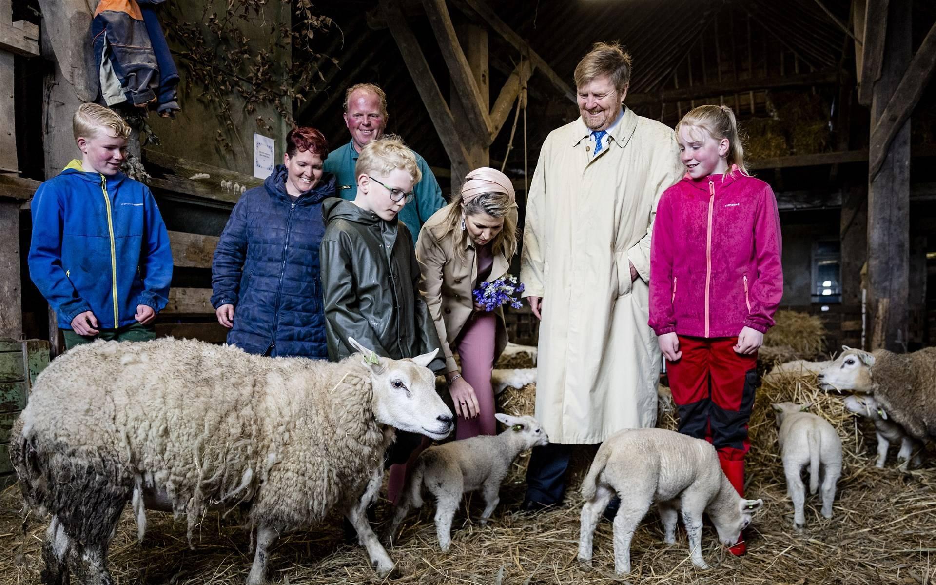 Koningspaar spreekt tussen de schapen met ondernemers Texel.