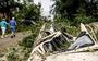 Een Eend die zwaar beschadigd raakte door een omgevallen boom, een dag na de hevige storm in Leersum.