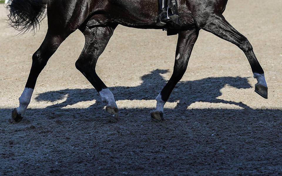 Paardensportwedstrijden tot eind maart geschrapt om virus