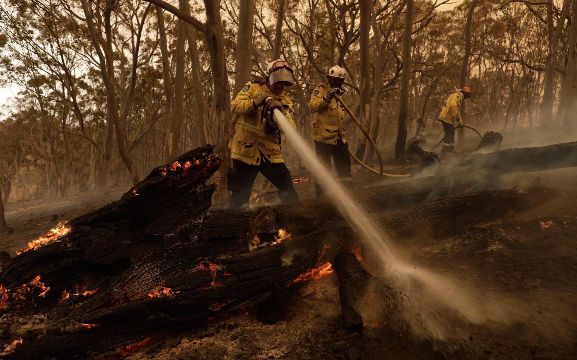 'Australische Bosbranden Gevoed Door Klimaatverandering' - Dagblad Van ...