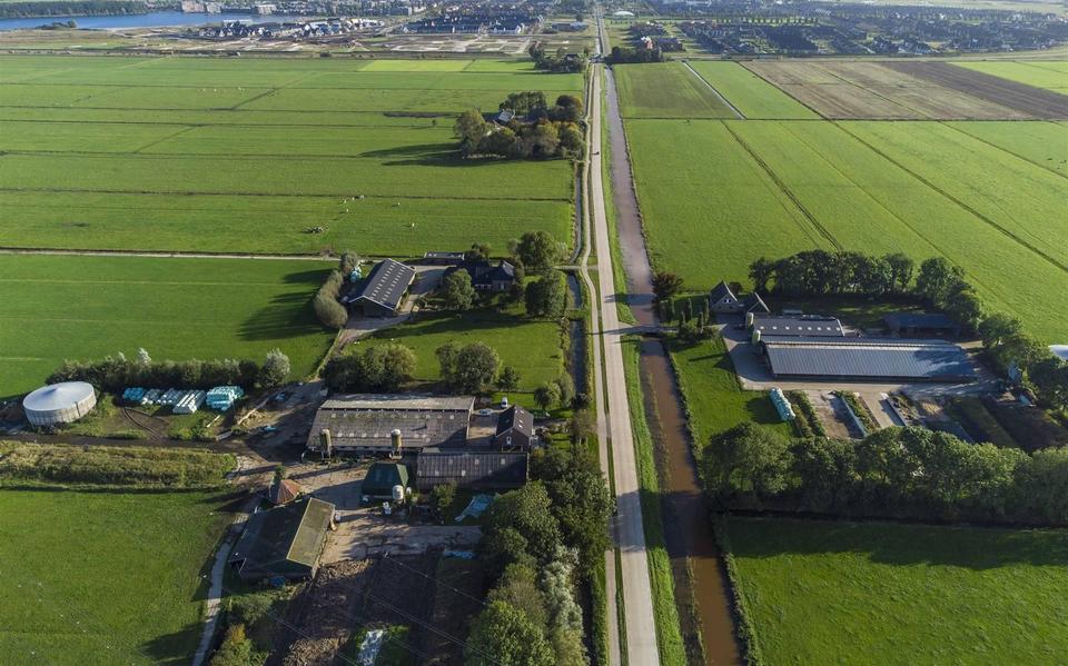 Boeren willen actie tegen nieuwbouw in weilanden