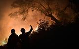 Bosbranden en hitte teisteren Zuid-Europa