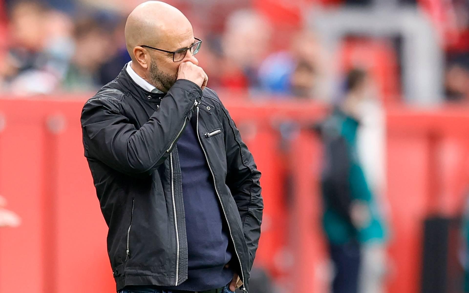 Bosz vreest Schick even kwijt te zijn, hoofdblessure Sinkgraven