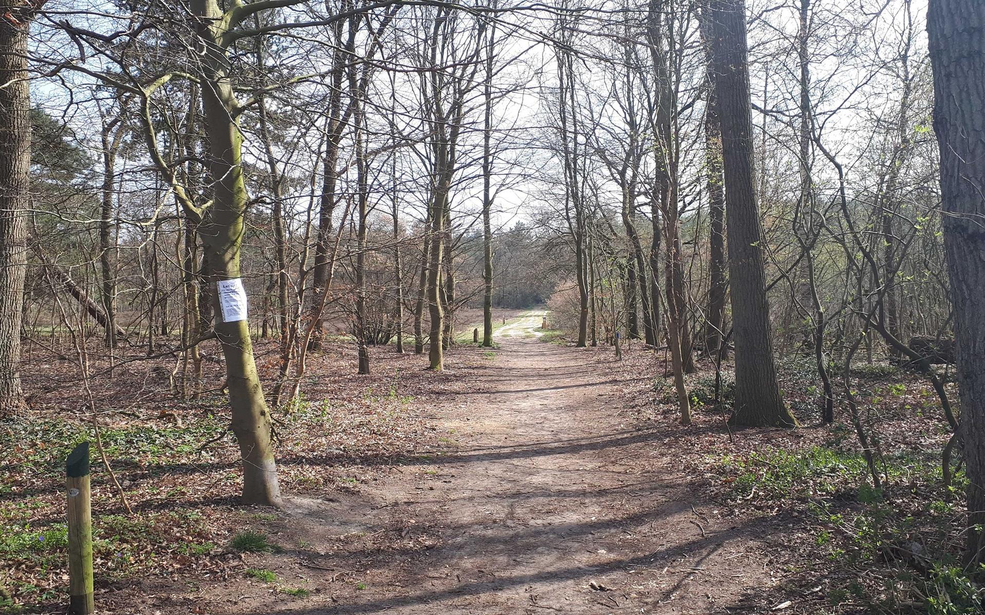 Politie waarschuwt hondenbezitters voor mogelijk vergiftigde blokjes kaas en worst in Valtherbos - D