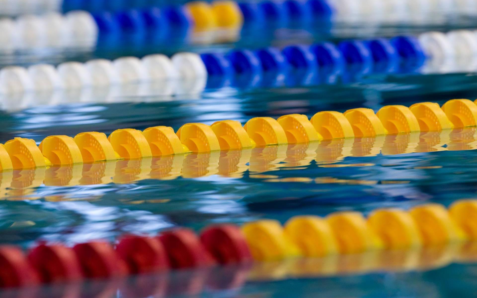 Zwemcoach Gaastra kan in België wel het zwembad in