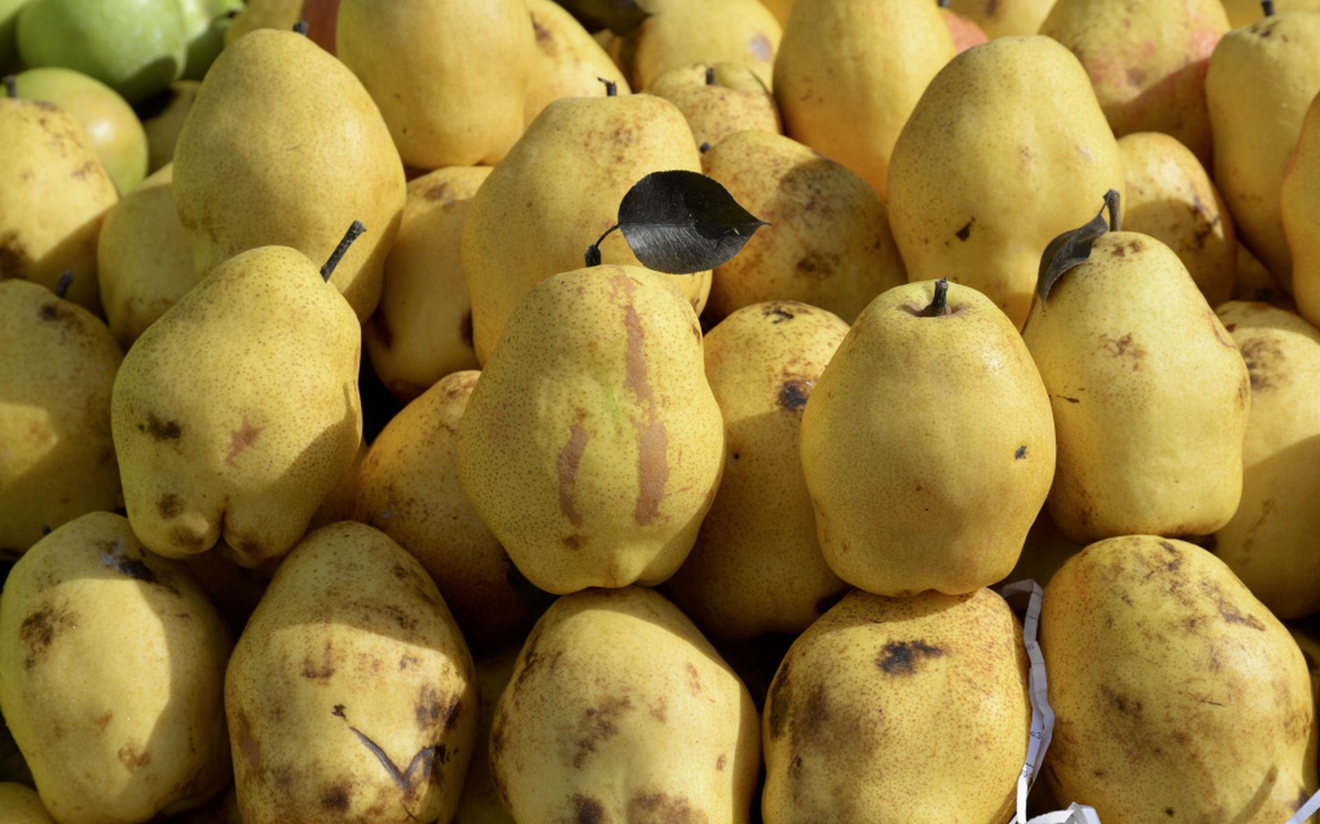 In de naam van de roos - Dagblad van het Noorden