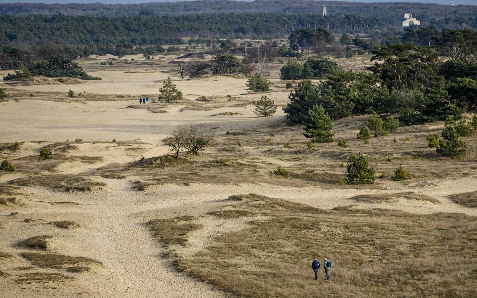 Greenpeace: verlies 14 natuurgebieden dreigt door stikstof