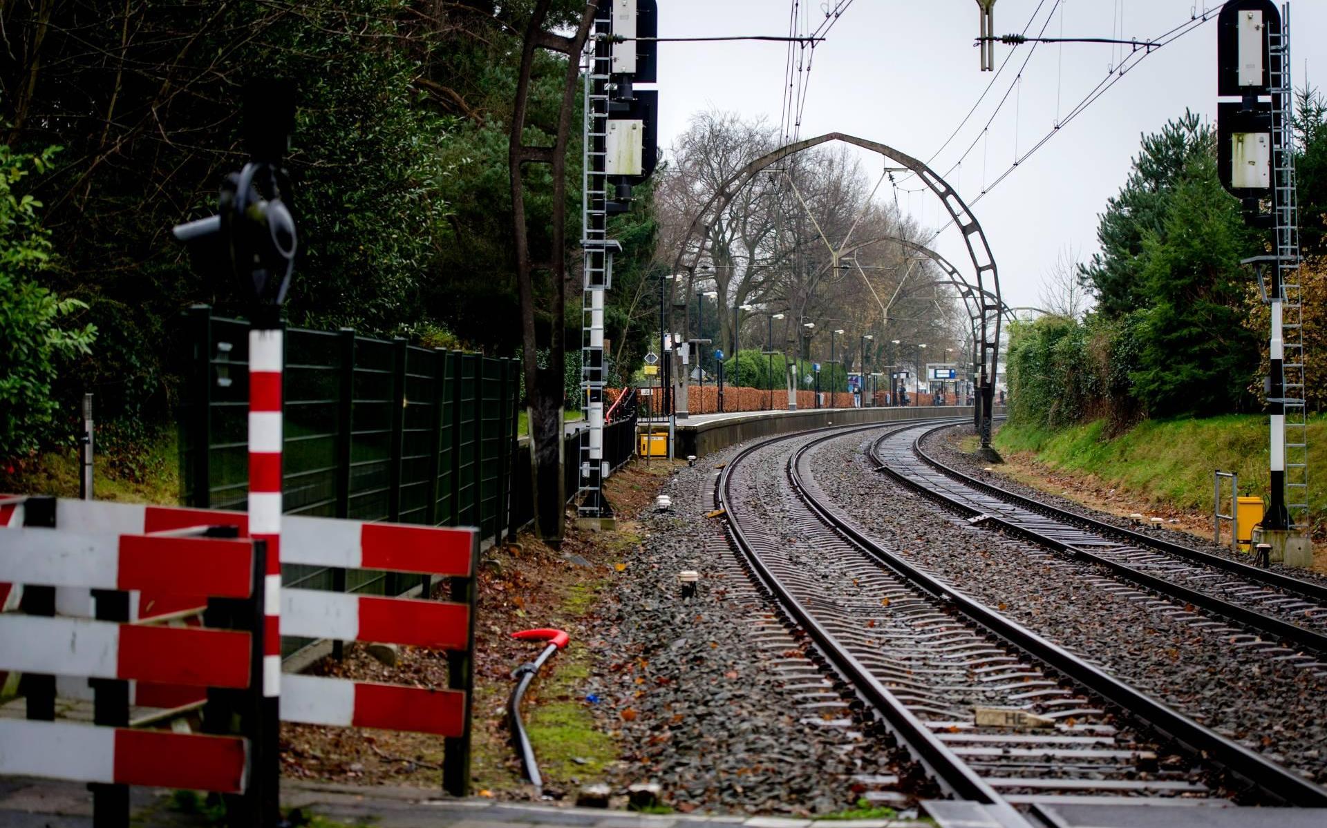 Second opinion bevestigt doodsoorzaak Dascha Graafsma (16)