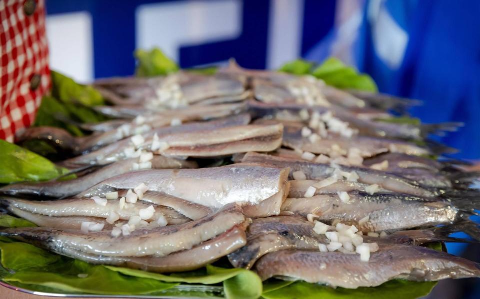 Start haringseizoen ruim een week uitgesteld naar 22 juni