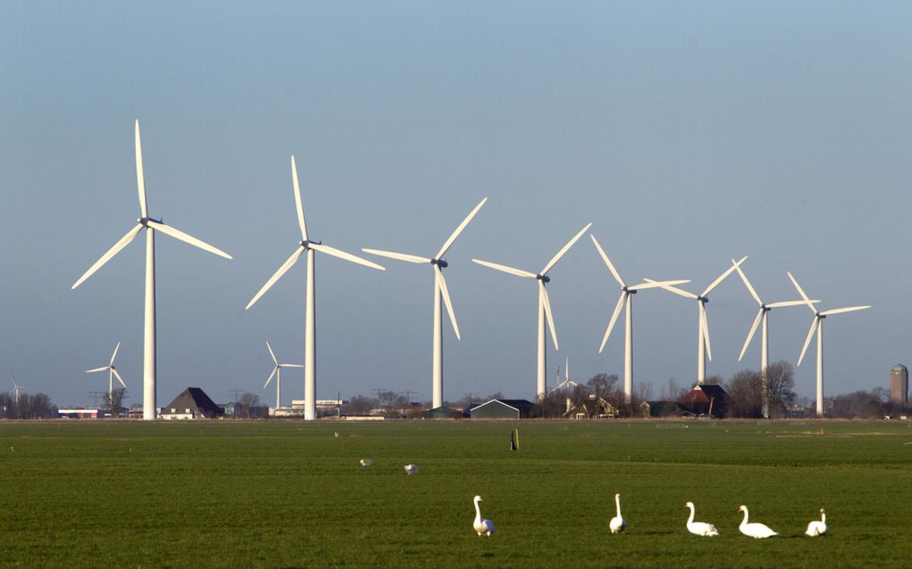 RWE wil drie windmolens bouwen aan de Oostpolderdijk RWE wil drie windmolens bouwen aan de Oostpolderdijk