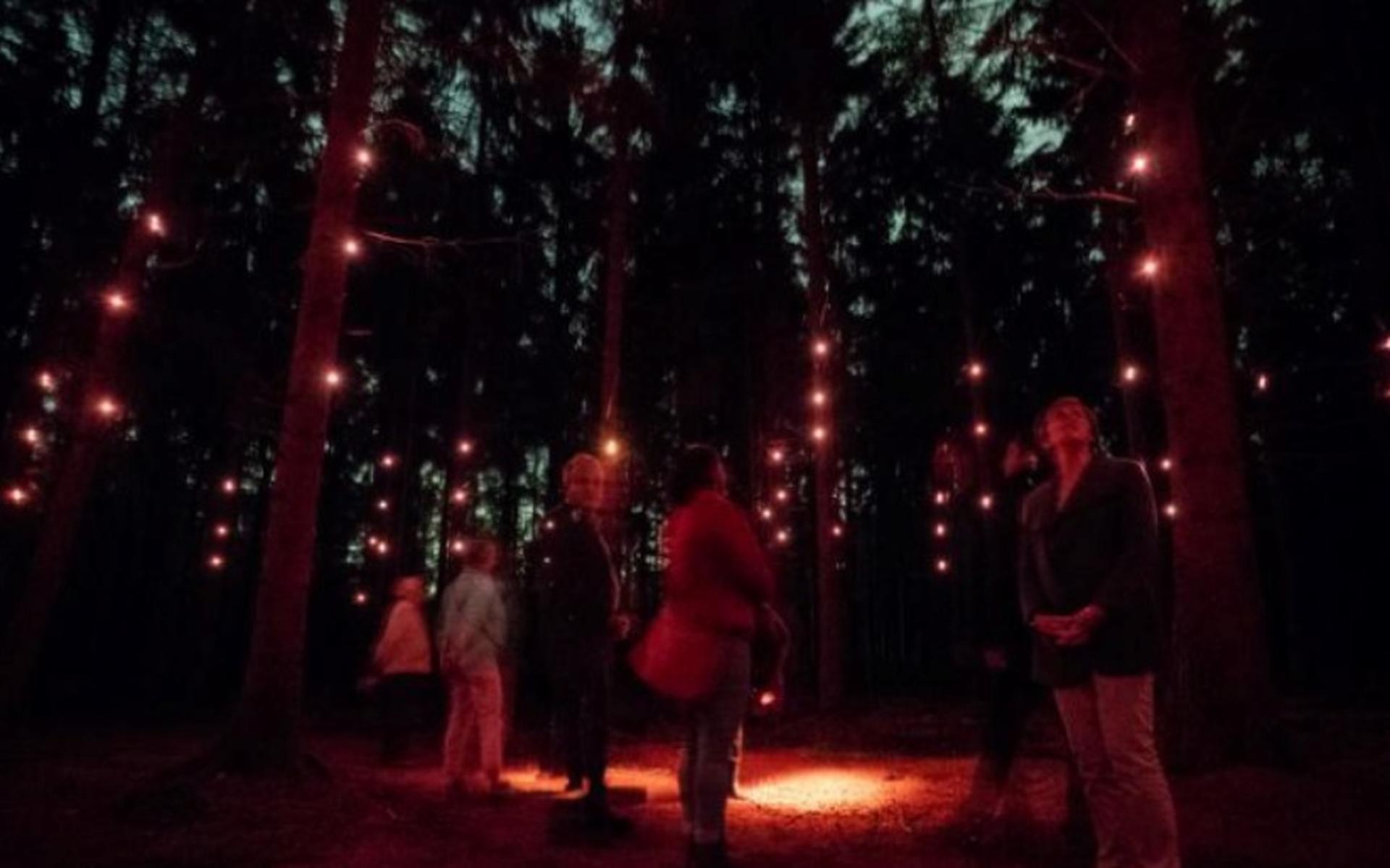 Lichtkunstwerk ‘Pixi’ in Drouwen wegens succes geprolongeerd