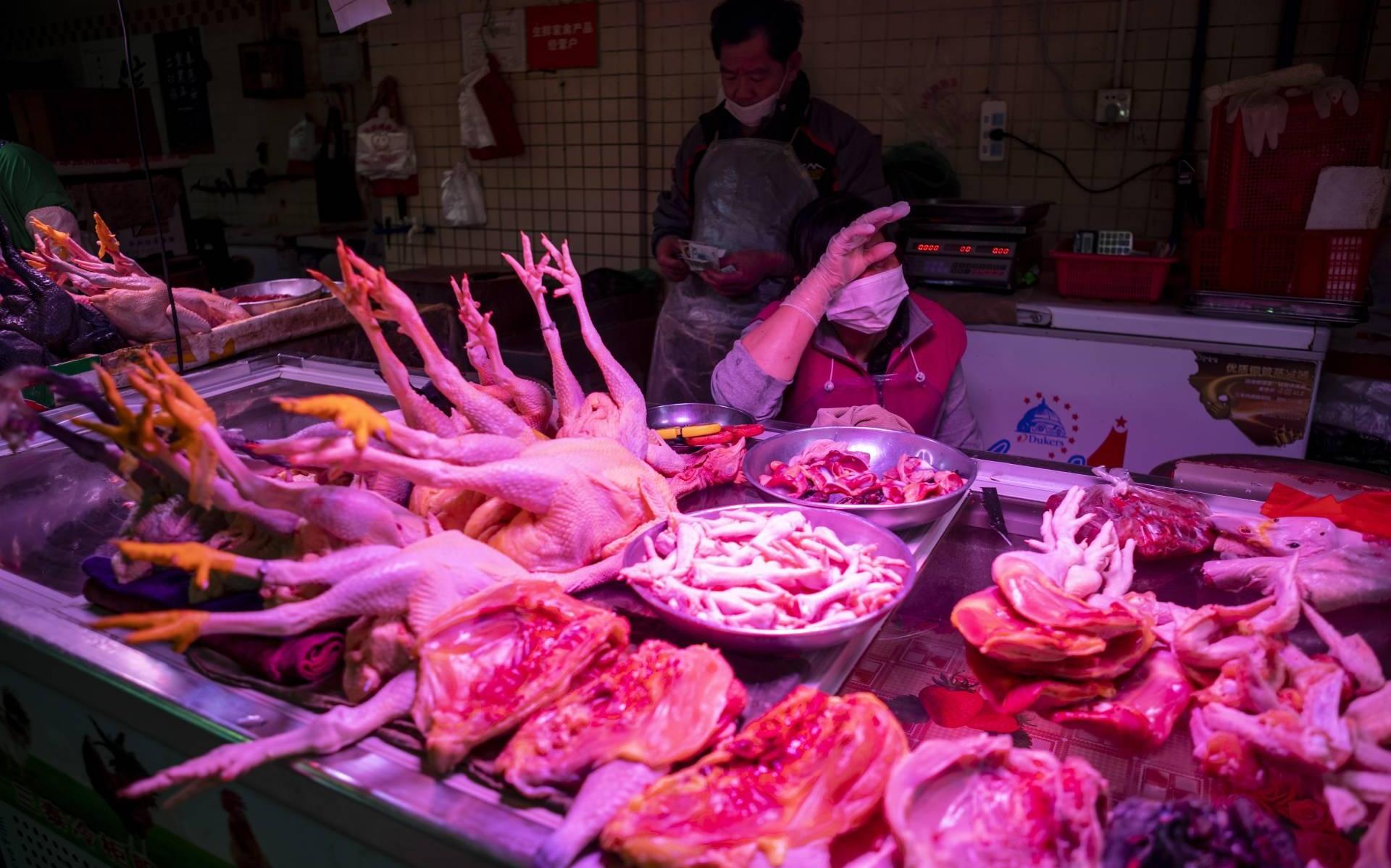 Onderzoek concludeert: corona-uitbraak begon op dierenmarkt Wuhan - Dagblad van het Noorden