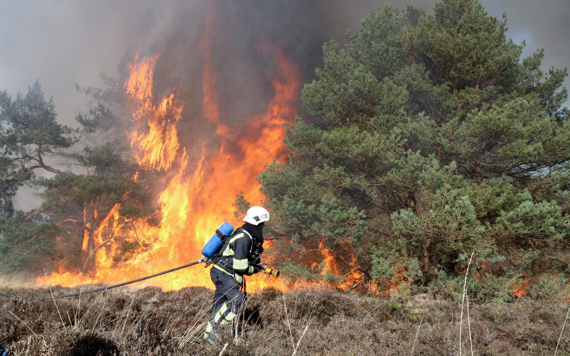 Door het aanhoudende droge weer neemt de kans op natuurbranden toe. In Groningen en Drenthe is de hoogste alarmfase van kracht. Foto: Archief DvhN/Gerrit Boer