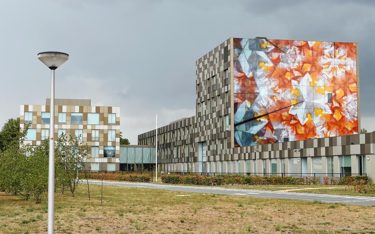 Het Stad & Esch-gebouw in Meppel. Het Stad & Esch-gebouw in Meppel.