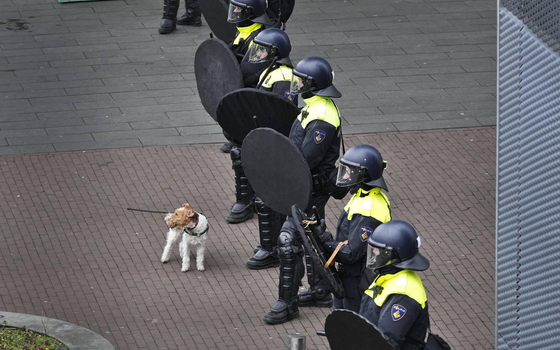 Vn Rapporteur Hekelt Optreden Nederlandse Politie Bij Protesten Dagblad Van Het Noorden