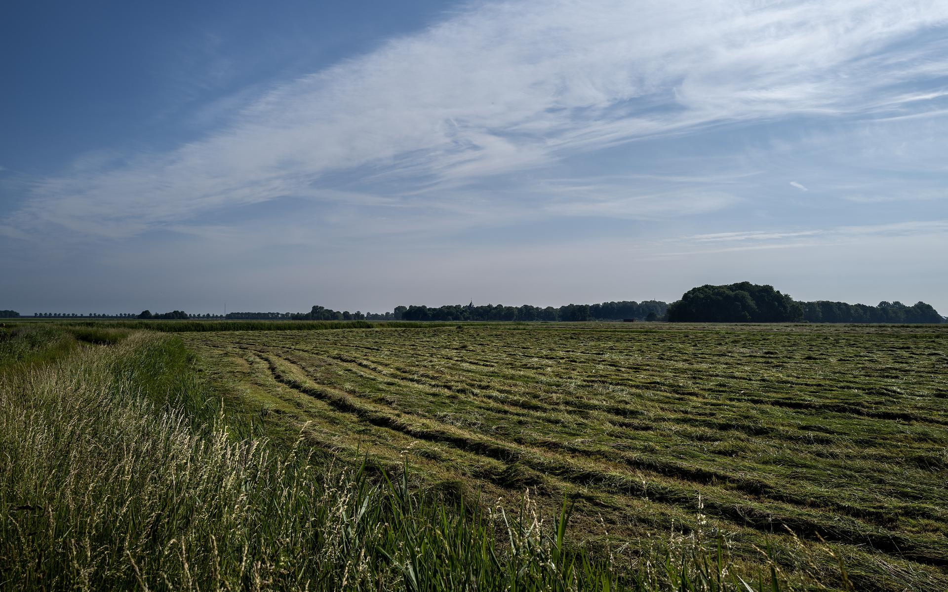 Het Biessumerbos aan de rand van Biessum, Delfzijl en Uitwierde. Het platteland in het Noorden loopt leeg.