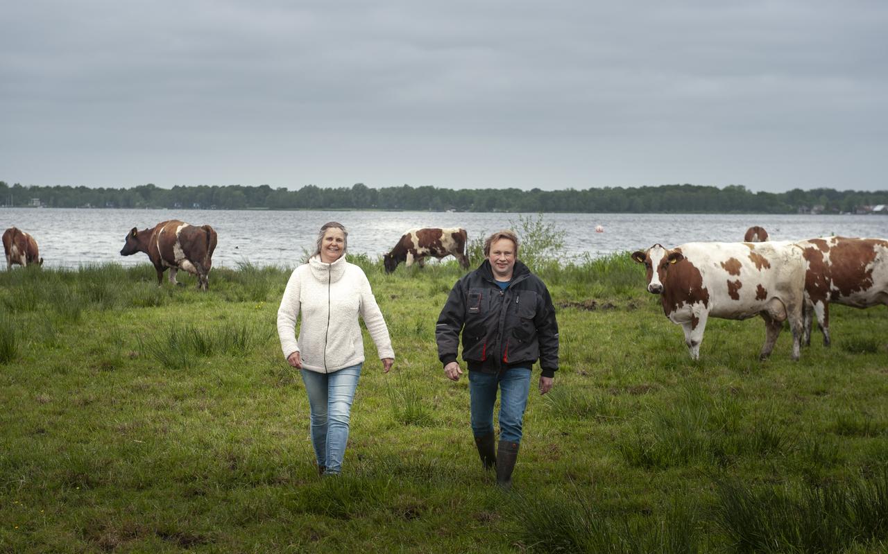 De familie Woldring en de roodbonte koeien in Haren. De familie Woldring en de roodbonte koeien in Haren.