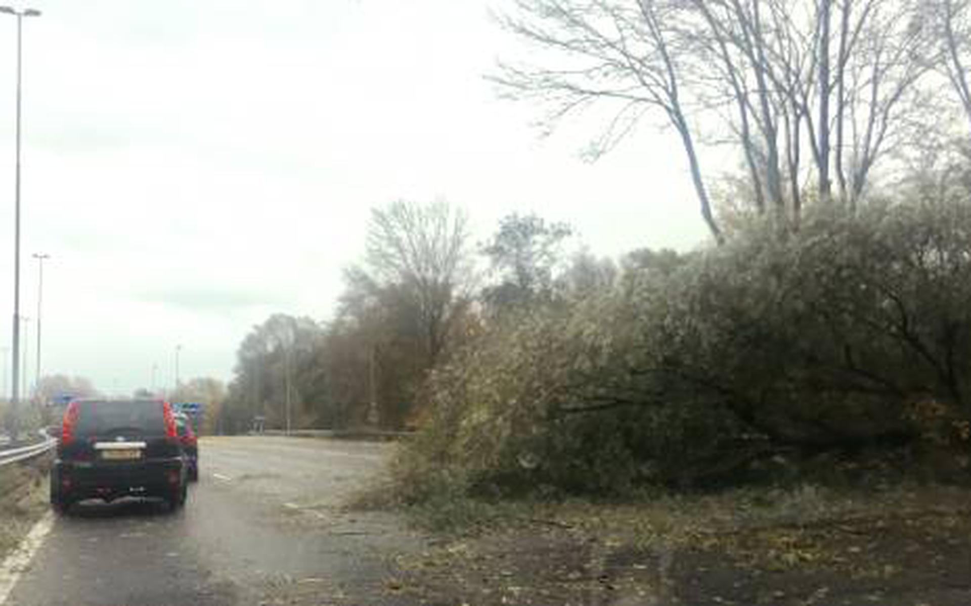 Eerste Herfststorm Zorgt Voor Veel Overlast - Dagblad Van Het Noorden